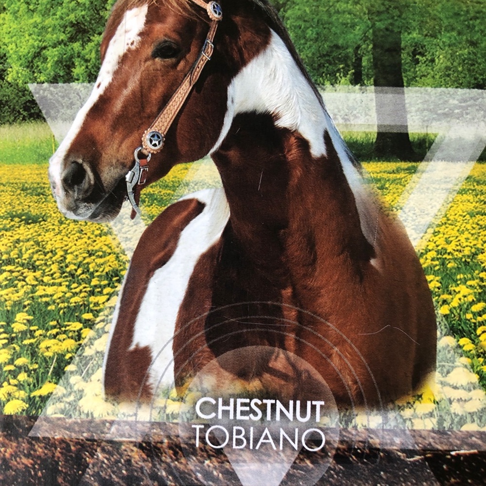 NEW LANARD Royal Breeds Build-A-Stable Set Chestnut Tobiano Horse Figure 13 PCS - Picture 3 of 6